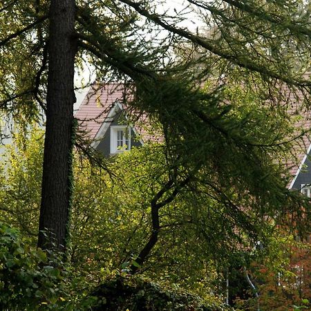 Panoramablick Appartement - Traumhaft! Ober-Hambach Buitenkant foto